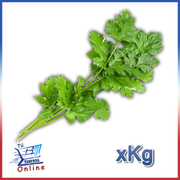 Cilantro por Kg