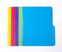 [1888] Carpeta Manila de Colores Tamaño Carta OfficePro