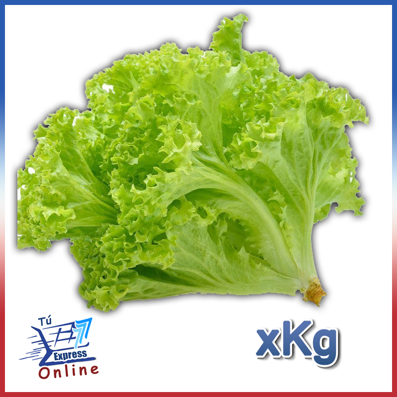 Lechuga Americana por Kg