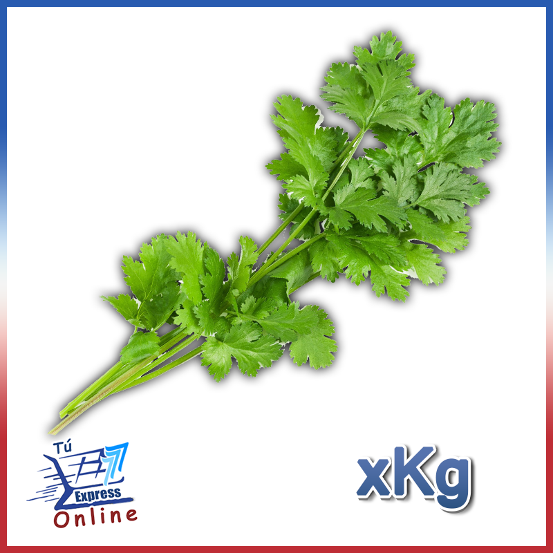 Cilantro por Kg