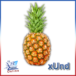 [002078] Piña por unidad